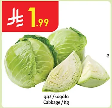 ملفوف
