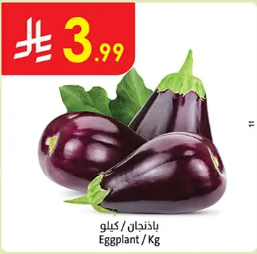 باذنجان