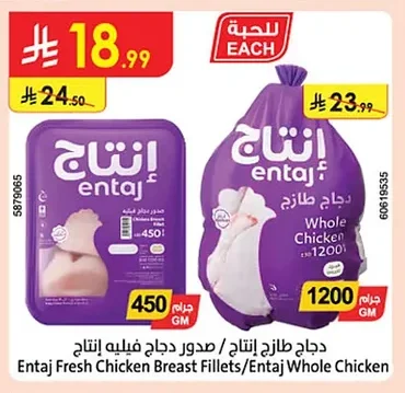 دجاج طازج / صدور دجاج فيليه إنتاج