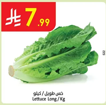 Lettuce Long / Kg