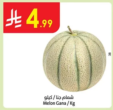 Melon Gana / Kg