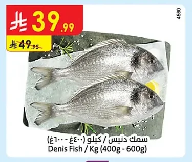 Denis Fish / Kg (400g - 600g)
