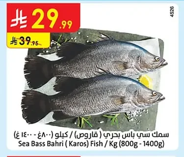 Sea Bass Bahri (Karos) Fish / Kg (800g - 1400g)