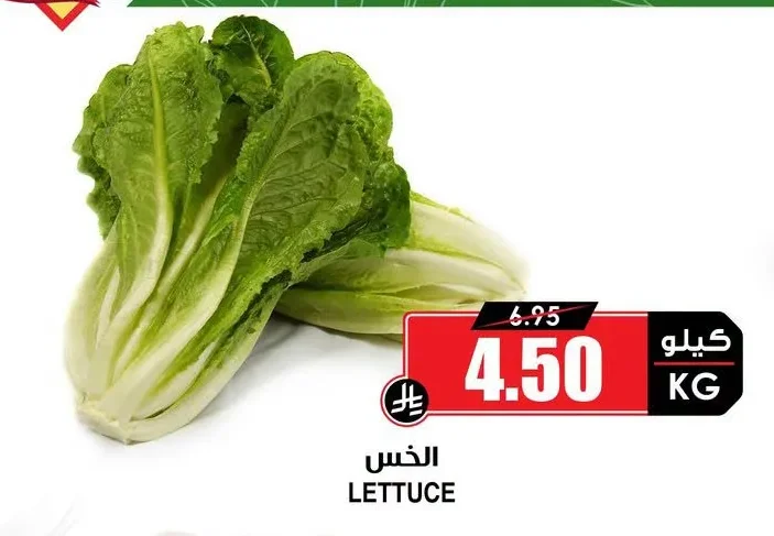 LETTUCE