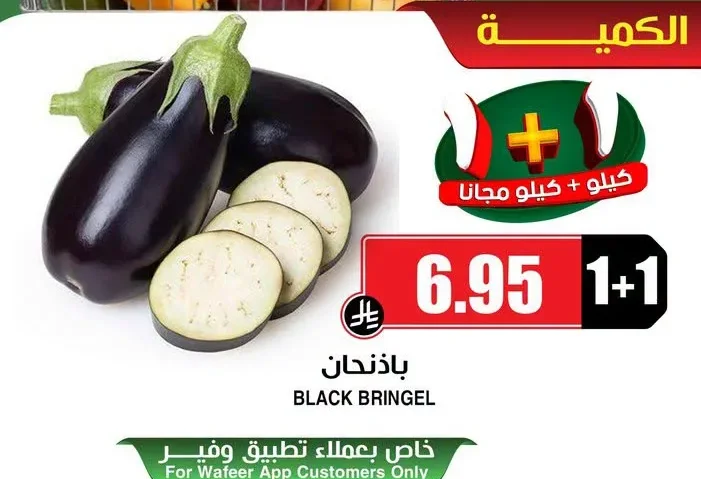 BLACK BRINGEL