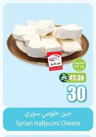Syrian Halloumi Cheese