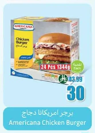 Americana Chicken Burger