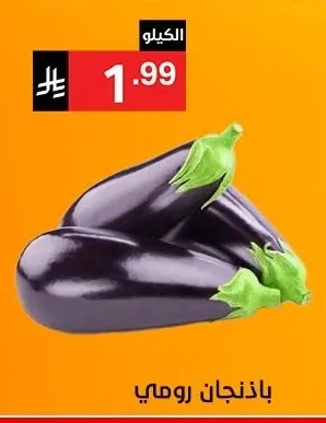 Egyptian Eggplant
