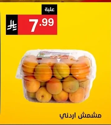 مشمش اردني