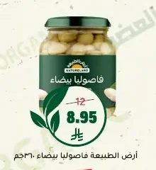فاصوليا بيضاء