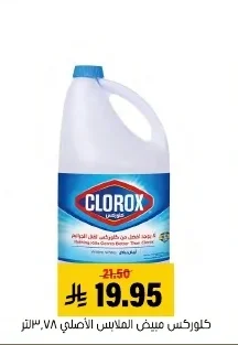Clorox Bleach