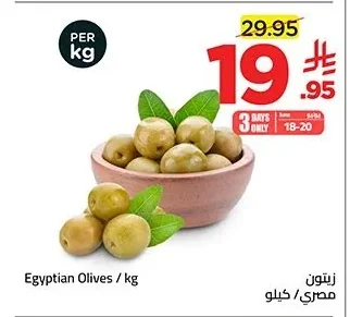 زيتون مصري