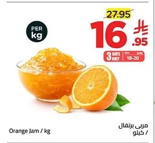 مربي برتقال