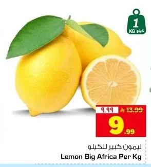 ليمون كبير للكيلو