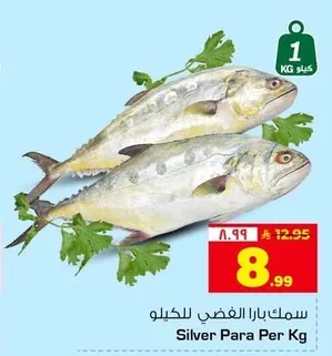 سمك بازا الفضي للكيلو