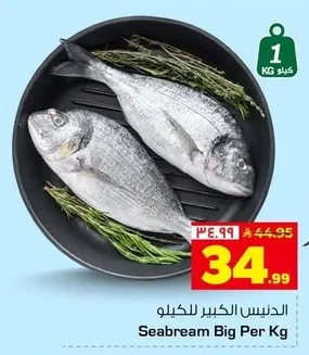 الدنيس الكبير للكيلو