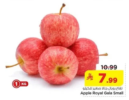 تفاح رويال جالا صغير