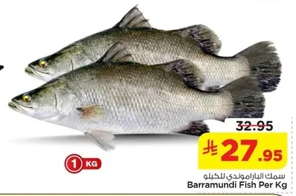 سمك الباراموندي للكيلو