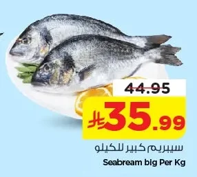 سيبريم كبير للكيلو