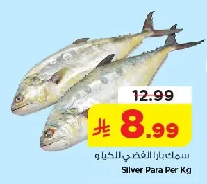 سمك بارا الفضي