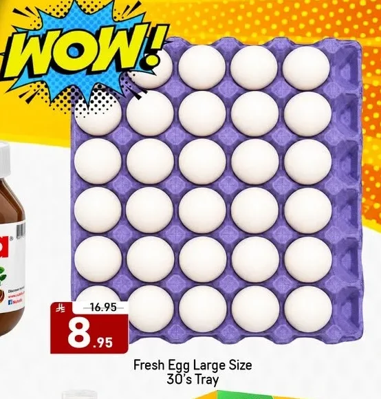 Fresh Egg Large Size