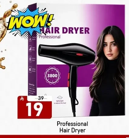 Professional Hair Dryer