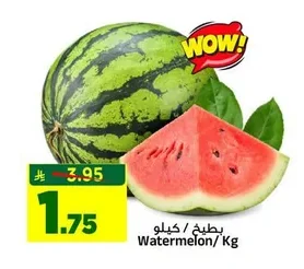 بطيخ