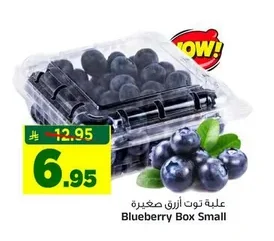 علبة توت ازرق صغيرة