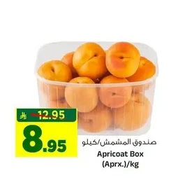 Apricot Box