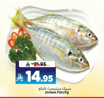 سمك جينيس
