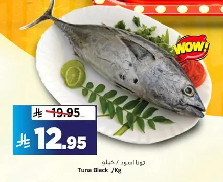 تونا اسود