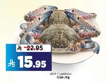 سلطعون