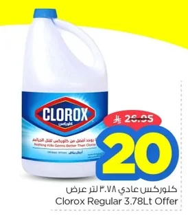 Clorox Regular