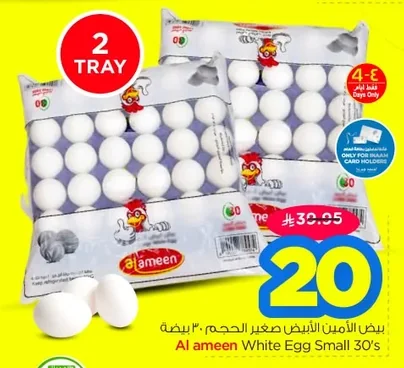 بيض الأمين الأبيض صغير الحجم ٣٠ بيضة