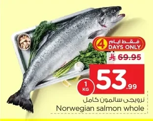 Norwegian salmon whole