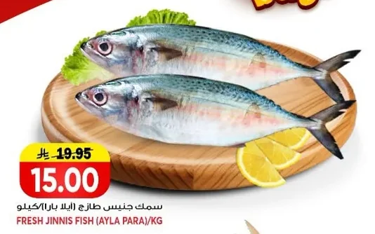 سمك جنيس