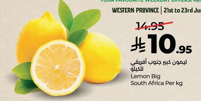 ليمون كبير
