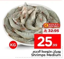 Shrimps Medium