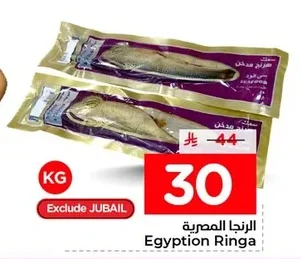 الرنجا المصرية