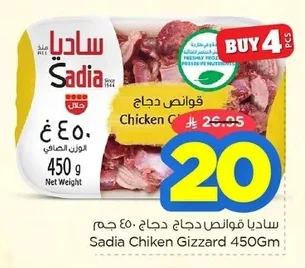 ساديا قوانص دجاج