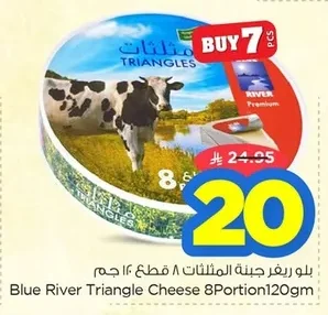 Triangular Cheese Portions