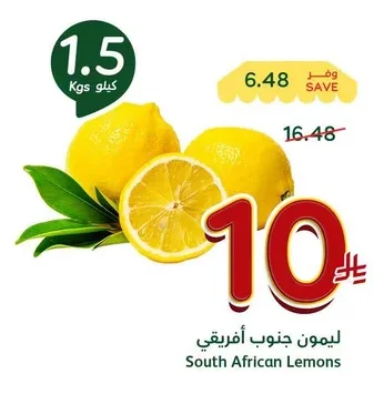 South African Lemons
