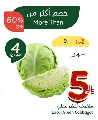 Local Green Cabbages