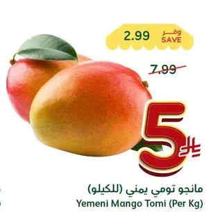 Yemeni Mango Tomi (Per Kg)