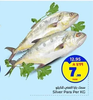 سمك بارا الفضي