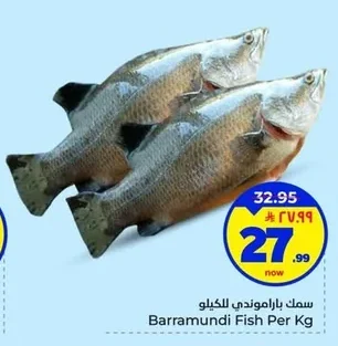 سمك باراموندي للكيلو