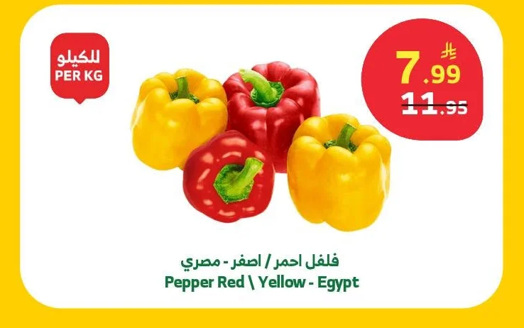 Pepper Red \ Yellow - Egypt