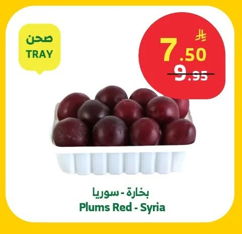Plums Red - Syria