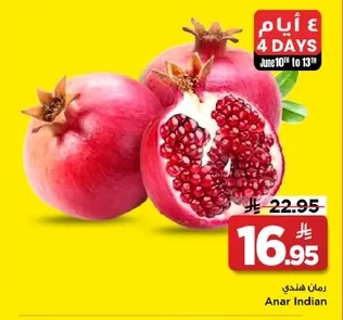 Anar Indian