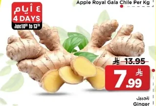 Ginger